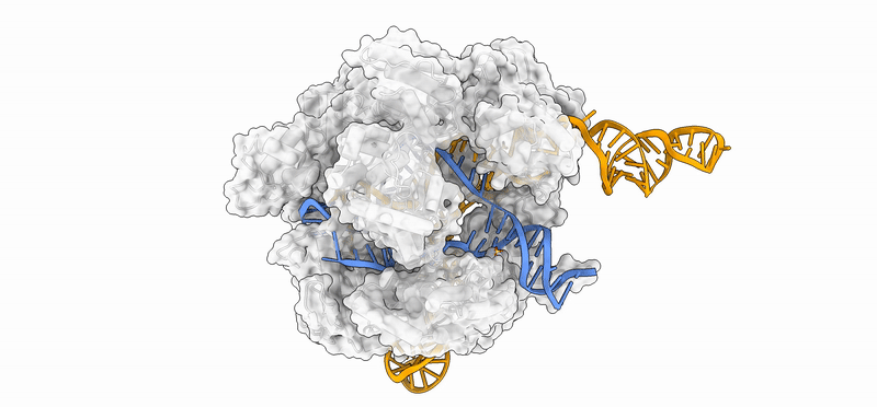 Protein structure 1
